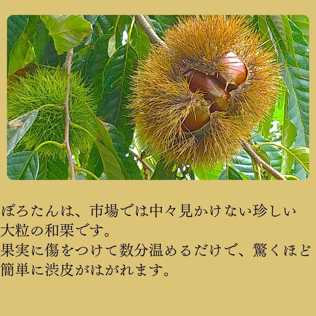 長野県高森町の画像2