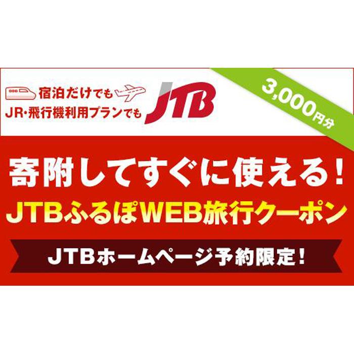 [阿智村]JTBふるぽWEB旅行クーポン(3,000円分)