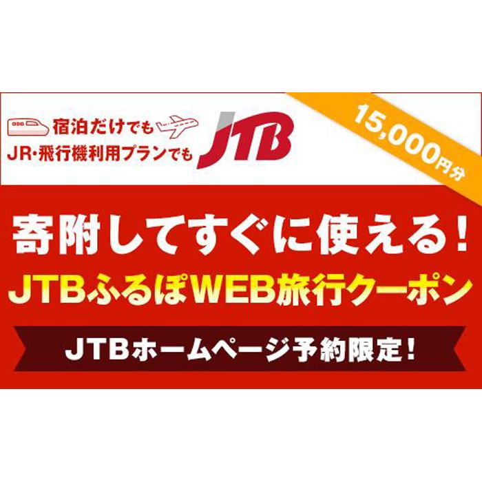 【ふるさと納税】【阿智村】JTBふるぽWEB旅行クーポン（15,000円分）