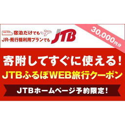 【ふるさと納税】【阿智村】JTBふるぽWEB旅行クーポン（30,000円分）