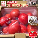 ・ふるさと納税よくある質問はこちら ・寄付申込みのキャンセル、返礼品の変更・返品はできません。あらかじめご了承ください。 ・ご要望を備考に記載頂いてもこちらでは対応いたしかねますので、何卒ご了承くださいませ。 ・寄付回数の制限は設けておりません。寄付をいただく度にお届けいたします。 商品概要 日本一の星空の下で育ったあまーいフルーツトマトです。 野菜ソムリエの佐藤愛子さんが家族で大切に育てています。ファンも多く中々手に入らないトマトを限定で準備させていただきました。 ※配送不可地域：離島 ※保存方法：冷蔵 【商品に関する問い合わせ先】 阿智村産業振興公社 TEL：0265-45-2130 内容量・サイズ等 1箱（10玉～20玉） 約1kg 【原材料名】 トマト（国産長野県阿智村） 賞味期限 出荷日から10日以内 配送方法 冷蔵 発送期日 2024年4月22日～2024年6月15日 名称 トマト 産地名 国産（長野県阿智村産） 保存方法 冷蔵 事業者情報 事業者名 阿智村産業振興公社 連絡先 0265-45-2130 営業時間 8:00～17:00 定休日 土曜・日曜・祝祭日・年末年始「ふるさと納税」寄付金は、下記の事業を推進する資金として活用してまいります。 （1）使途を限定しない （2）農村記録写真に関連する事業 （3）満蒙開拓平和記念館に関する事業 （4）歴史・文化・景観保存に関する事業 （5）福祉、子育て、人材育成に関する事業 （6）昼神・治部坂ほか産業振興に関する事業