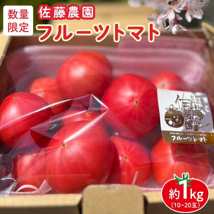 佐藤農園のフルーツトマト | 数量限定 トマト フルーツ 甘い 送料無料 信州 長野