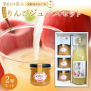 【ふるさと納税】里山の恵みりんごジュースセット | 果物 くだもの フルーツ 林檎 ジュース 飲料 飲み物 ドリンク