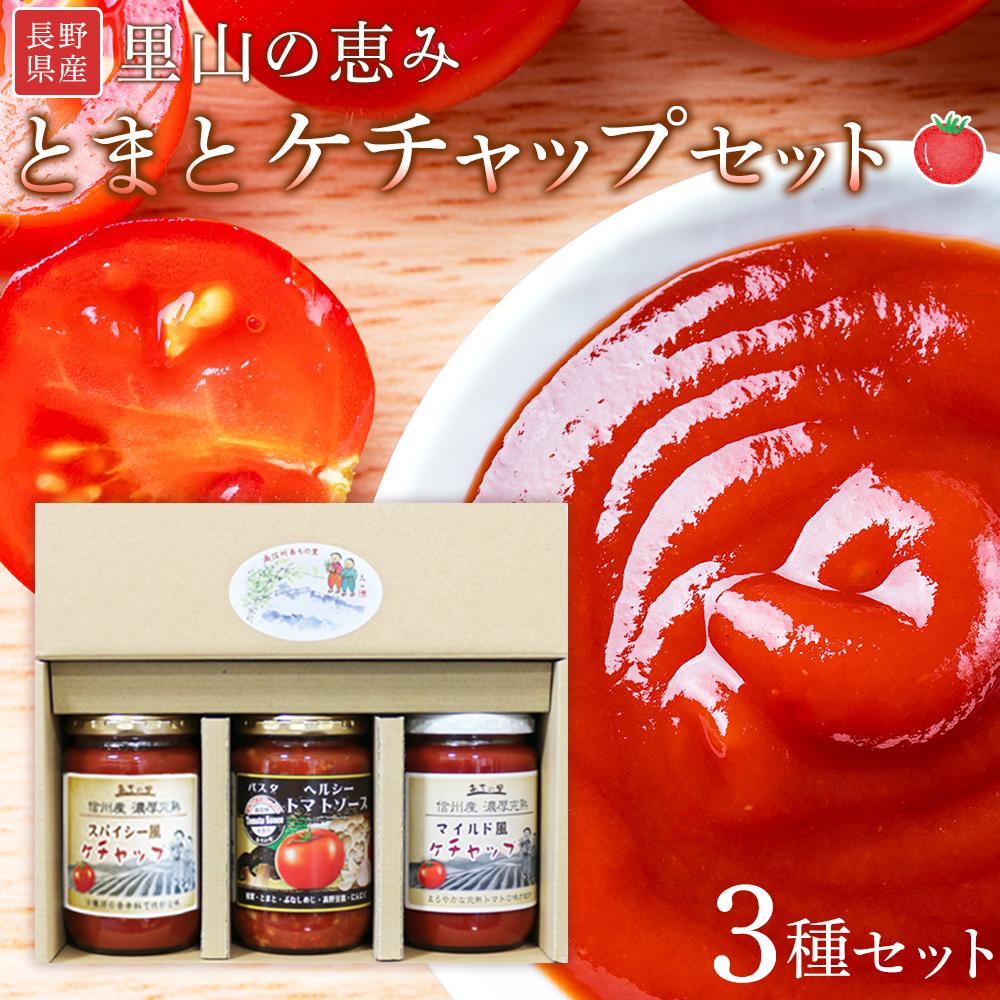 60位! 口コミ数「0件」評価「0」里山の恵みとまとケチャップセット ｜ 野菜 tomato トマト やさい ケチャップ 調味料 料理 オムライス チキンライス 煮物