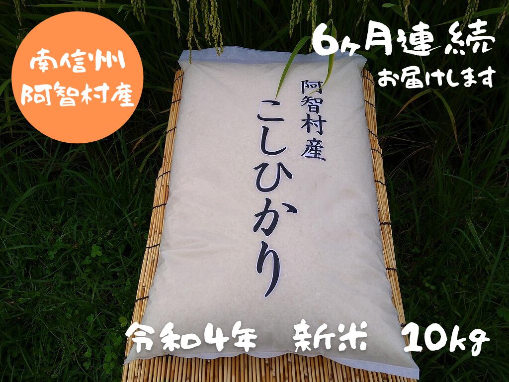 記事番号:37170/アイテムID:444325の画像