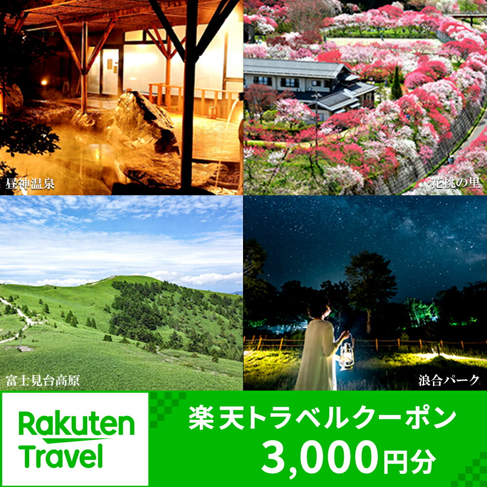 長野県阿智村の対象施設で使える楽天トラベルクーポン 寄付額10,000円