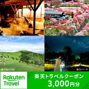 長野の旅行券（宿泊券） 【ふるさと納税】長野県阿智村の対象施設で使える楽天トラベルクーポン 寄付額10,000円