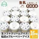 【ふるさと納税】生ソフトクリーム&いなぶブルーベリー 16個入り 80ml 生乳 ブルーベリー ソース ソフトクリーム アイスクリーム アイス デザート 人気 ...
