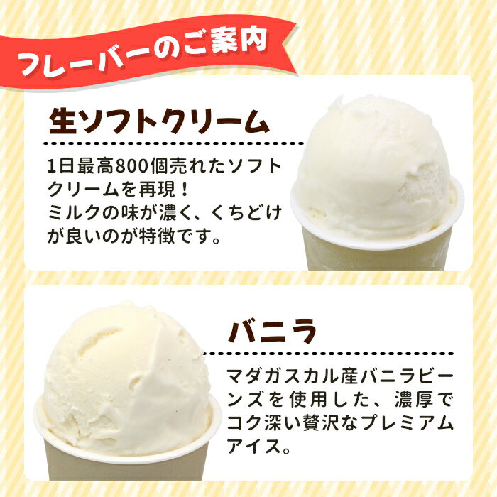 長野県根羽村の画像3