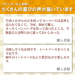 【ふるさと納税】根羽こだわり和牛 ミンチ1kg 国産黒毛和牛 牛100% ハンバーグ ミートソース そぼろ キーマカレー メンチカツ 牛肉 和牛 牛ミンチ 挽肉 10000円･･･ 画像2