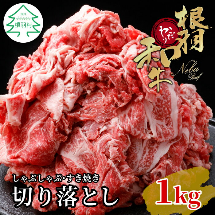 【ふるさと納税】★9月発送★根羽こだわり和牛 モリモリ切り落とし 1kg (250g×4) 国産黒毛和牛 牛肉 小分け包装 切り落とし 10000円 10,000円 一万円