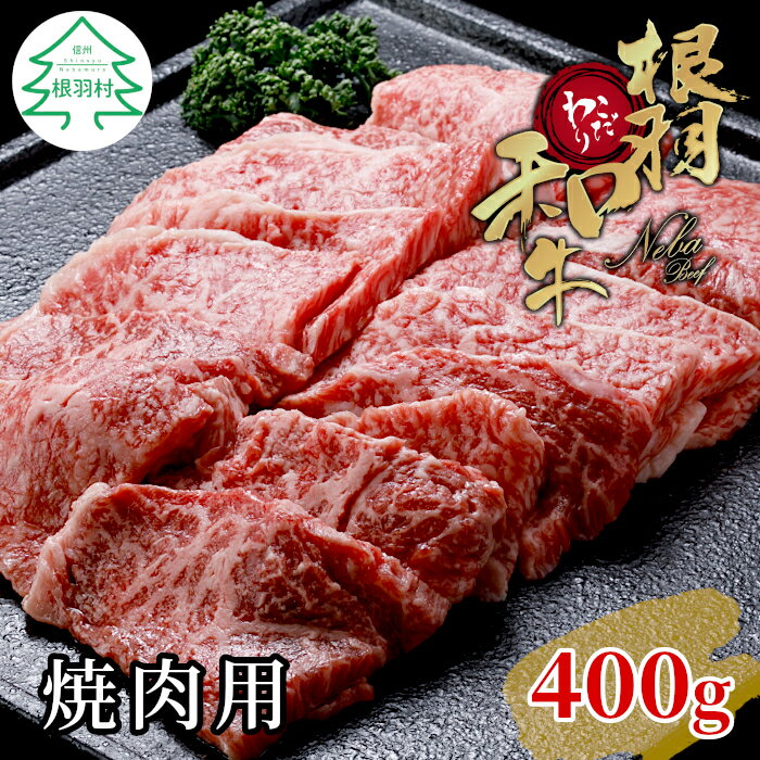 【ふるさと納税】根羽こだわり和牛 焼肉 400g バーベキュー 国産黒毛和牛 バラ肉 モモ肉 盛り合わせ 厳選 牛肉 和牛 焼き肉