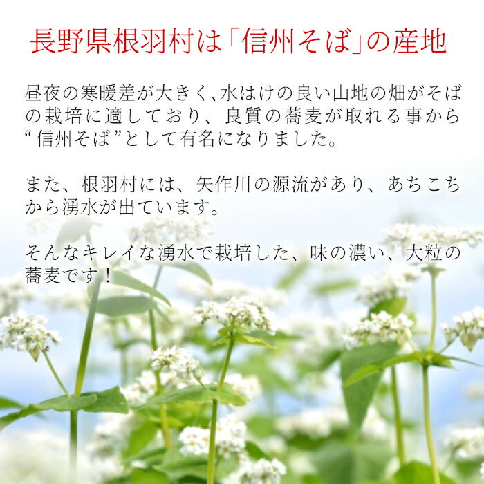 【ふるさと納税】純国産 無添加 信州根羽村産 そばの実 400g (200g×2袋) むき実 スーパーフード ダイエット 健康 △