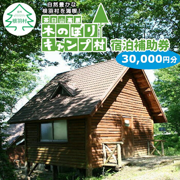 【ふるさと納税】木のぼりキャンプ村 宿泊補助券 (30,000円分) キャンプ場 旅行 キャンプ 宿泊