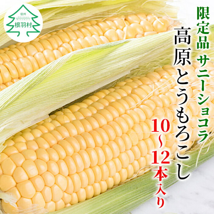 【ふるさと納税】◎200箱限定追加！◎ 高評価！★4.66 高原とうもろこし サニーショコラ 10〜12本入り まるでフルーツみたいな甘さ 長野県 ※予約品※ 令和5年度産のサムネイル