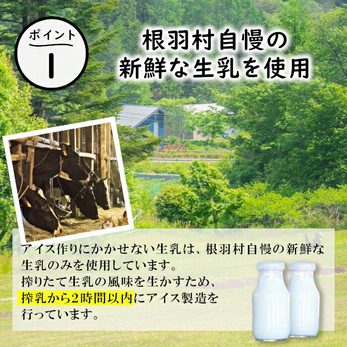 【ふるさと納税】南信州根羽村産 しぼりたて生乳使用！優しいくちどけ バニラアイスクリーム お試し4個入 アイスクリーム 3000円 △