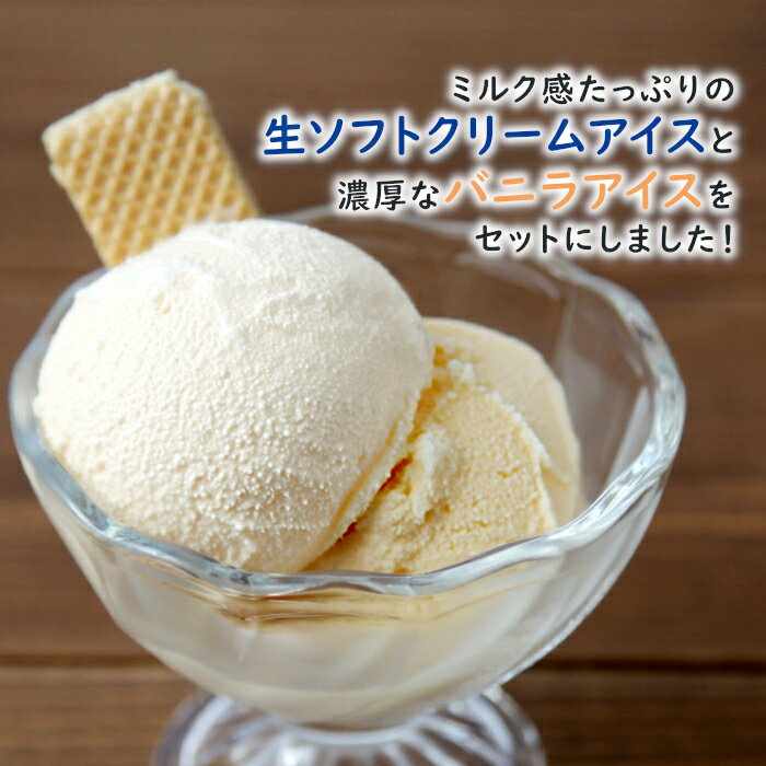 【ふるさと納税】食べ比べセット！生ソフトクリームアイス＆バニラアイスクリーム お試し4個セット アイスクリーム 3000円 △