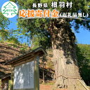 返礼品なしのふるさと納税です。 いただいたご寄付は長野県根羽村の発展の為に活用させていただきます。 皆様からの暖かいご支援をお待ちしております。 ※こちらのご寄附についてはお礼の品のご送付はございません。あらかじめご了承ください。 ※年間の寄附金額が2,000円以下の場合は寄附金控除の適用外となります。 ・ふるさと納税よくある質問はこちら ・寄附申込みのキャンセル、返礼品の変更・返品はできません。あらかじめご了承ください。「ふるさと納税」寄付金は、下記の事業を推進する資金として活用してまいります。 寄付を希望される皆さまの想いでお選びください。 (1) 水源・環境保全、自然エネルギーの活用など環境保全に関する事業 (2) 森林林業に関する技術の普及、有休農地の利活用、山村文化・木材芸術など自然を生かした地域振興に関する事業 (3) 住民の助け合いや福祉の充実に関する事業 (4) その他目的達成のため村長が必要と認めた事業 特徴のご希望がなければ、町政全般に活用いたします。 入金確認後、注文内容確認画面の【注文者情報】に記載の住所にお送りいたします。 発送の時期は、お申し込みの翌月末を目途に、お礼の特産品とは別にお送りいたします。