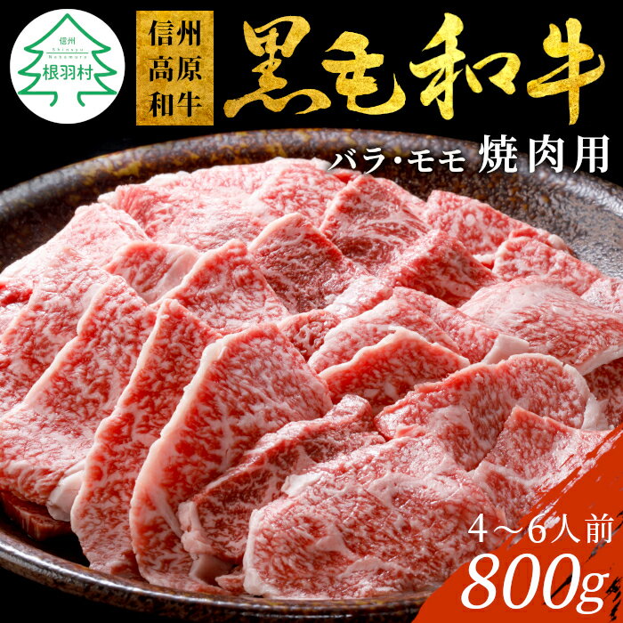 信州高原和牛 焼肉 800g (400g×2) バーベキュー バラ肉 モモ 厳選 盛り合わせ 信州 国産黒毛和牛 牛肉 和牛 焼き肉