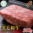 【ふるさと納税】根羽こだわり和牛 モモブロック 300g 牛