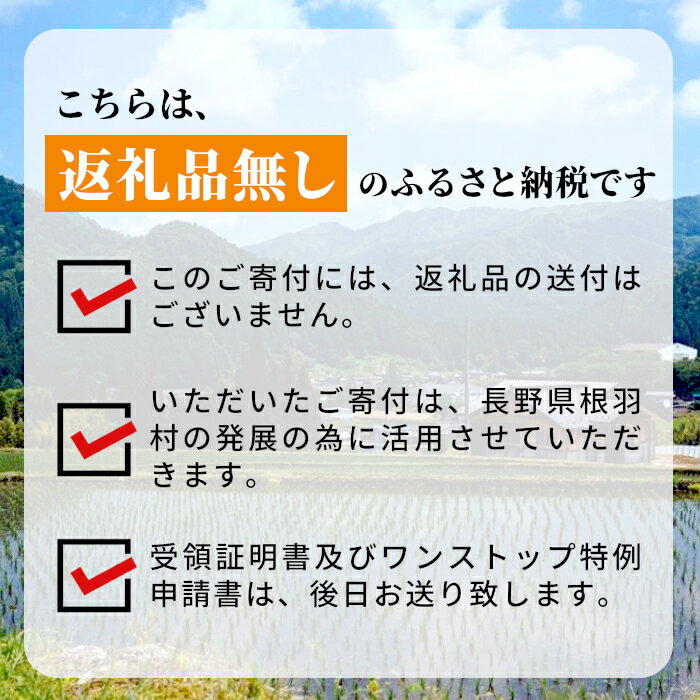 【ふるさと納税】長野県根羽村への応援　(返礼品はございません）寄付のみ 5000円　返礼品なしその2