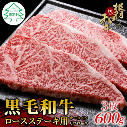 お届け月が選べる◎根羽こだわり和牛 ロースステーキ用 (サーロイン・リブロース) 3枚 600g (200g×3) 国産黒毛和牛 牛肉 ステーキ 和牛 サーロインステーキ リブロース 20000円 20,000円 2万円