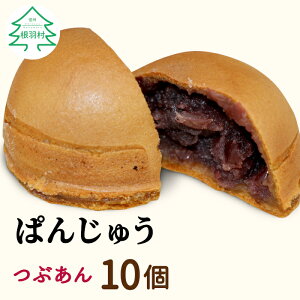 【ふるさと納税】ぱんじゅう つぶあん 10個入り 個包装 冷凍 粒あん 餡子 小豆 スイーツ お茶菓子 まんじゅう 薄皮 手土産 和菓子 あんこ 饅頭 パン 5000円 5千円