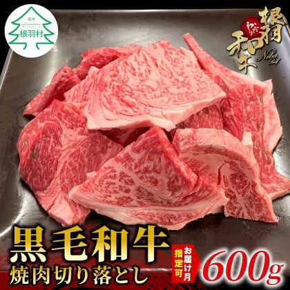 お届け月が選べる◎根羽こだわり和牛 焼肉切り落とし 600g カルビ リブロース カタロース モモ カタ バラ ウデ 焼肉用 切り落とし 不揃い 10000円 10,000円 一万円