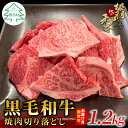 【ふるさと納税】 お届け月が選べる◎根羽こだわり和牛 焼肉切り落とし 1.2kg ( 600g×2 ) カルビ リブロース カタロース モモ カタ バラ..