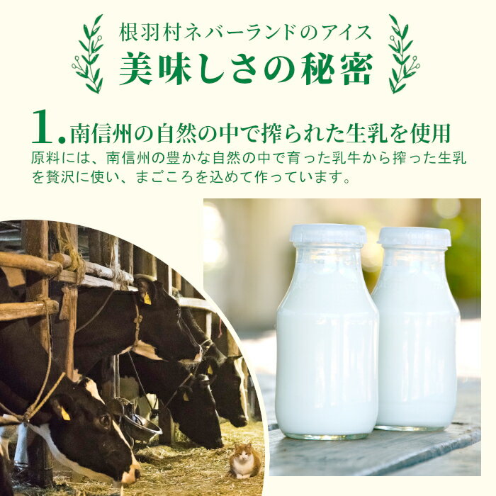 【ふるさと納税】優しい甘さ バニラアイスクリーム＆信州りんごアイス 8個入 アイスクリーム 林檎 リンゴ ふじりんご バニラ 牛乳 フルーツ 5000円 5,000円