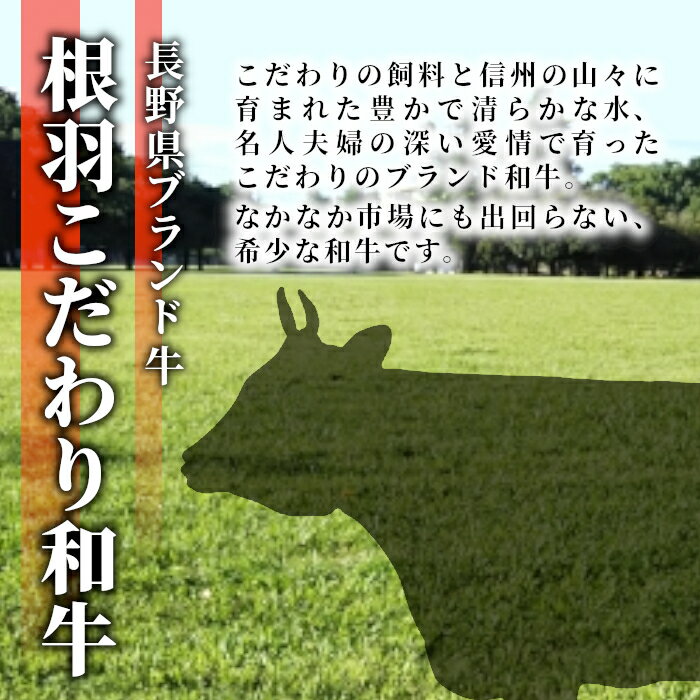 【ふるさと納税】 お届け月が選べる◎根羽こだわり和牛 焼肉切り落とし 1.2kg ( 600g×2 ) カルビ リブロース カタロース モモ カタ バラ ウデ 焼肉用 切り落とし 不揃い 20000円 20,000円 二万円