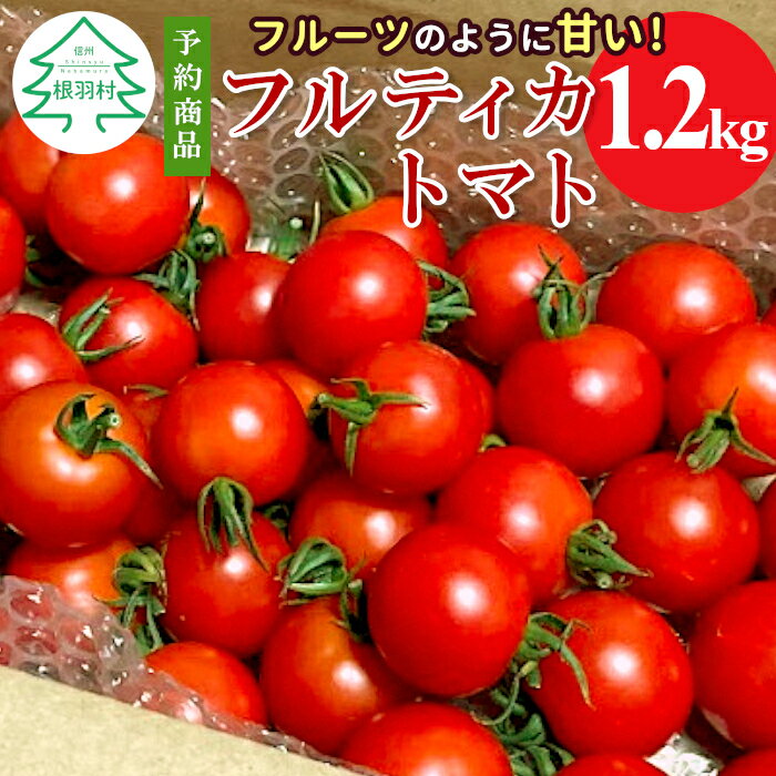 【ふるさと納税】★2023年10月〜11月にお届け★お試し約1kg！山の湧き水で育った高原トマト「フルティカ」 令和4年度産 数量限定 中玉 トマト 野菜 3000円 3,000円 3千円 △のサムネイル