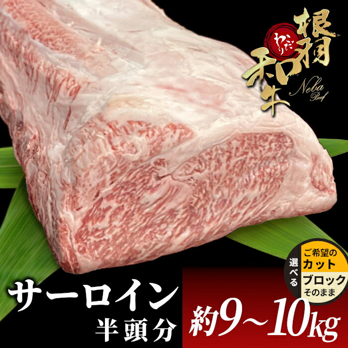 数量限定!根羽こだわり和牛 サーロイン 半頭分 約9〜10kg 国産 黒毛和牛 国産牛 サーロイン ブロック肉 塊肉 すき焼き しゃぶしゃぶ ステーキ 焼肉 大人数 パーティー お祝い BBQ 大容量 サーロインブロック モモブロック ローストビーフ