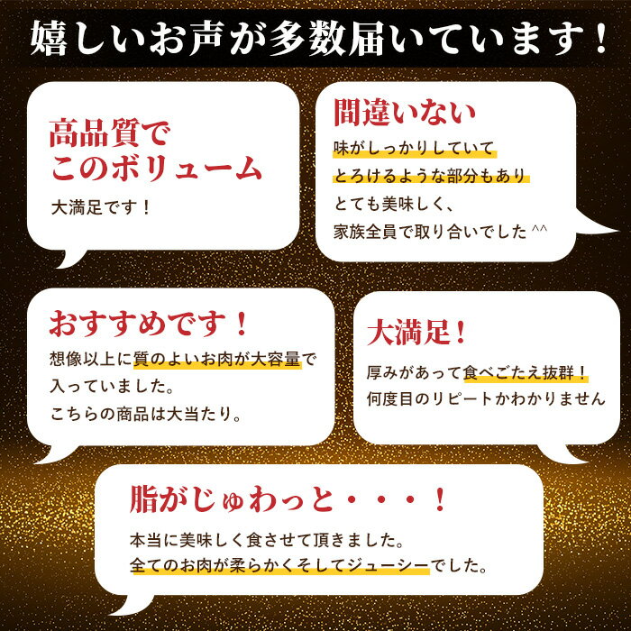 長野県根羽村の画像3