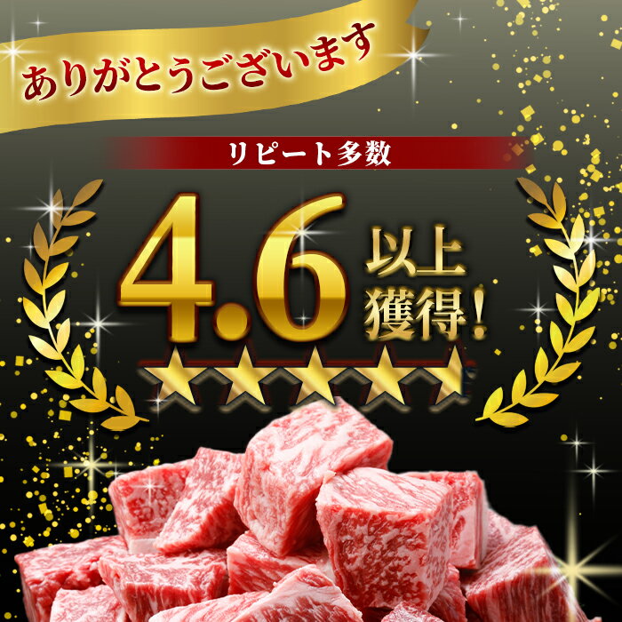 長野県根羽村の画像2