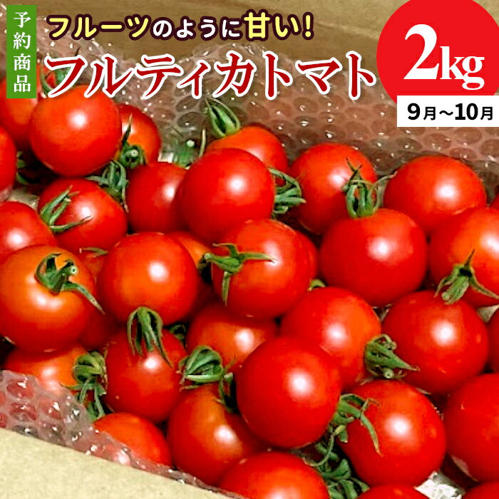 [予約品]2026年9月〜10月発送 フルティカトマト 2.0kg 令和7年度産 ※予約商品※ 割れ保障付 トマト 高評価 中玉 野菜 人気 新鮮 産地直送 甘い 高糖度 完熟 リコピン ビタミン 美容 美肌 トマト ミニトマト 7000円 7,000円