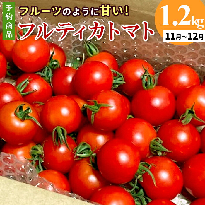 [予約品]※2026年11月〜12月発送★フルーツのように甘い フルティカトマト 1.2kg 令和8年度産 割れ保障付 数量限定 トマト 中玉 フルーツ フルーツトマト トマト ミニトマト 野菜 5000円 5,000円