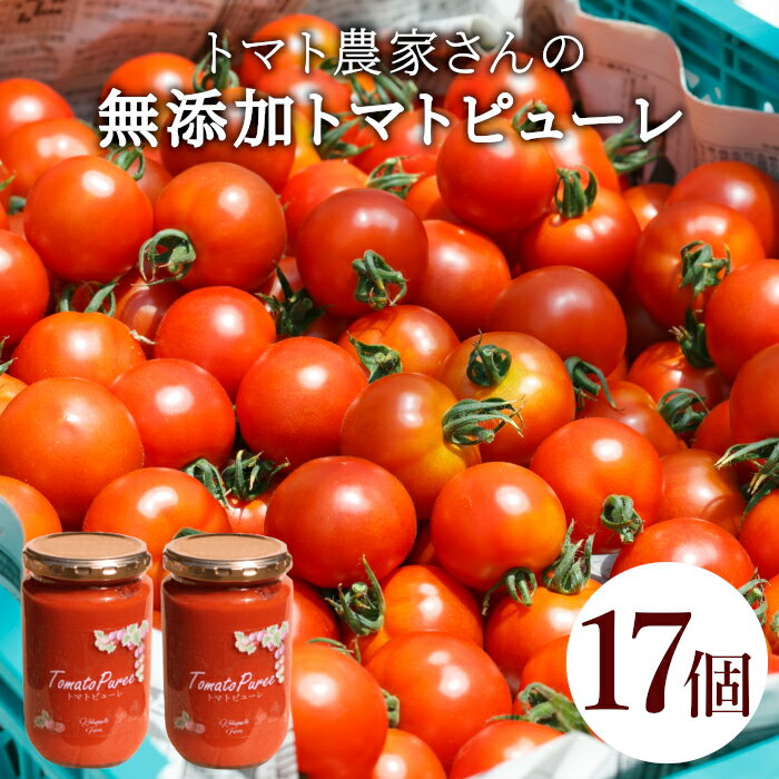 【ふるさと納税】保存料・食塩・化学調味料不使用！トマト農家さんのトマトピューレ 17個 ( 320g×17個 ) トマト 野菜 ピューレ パスタソース 万能 フルティカトマト 51,000円 51000円