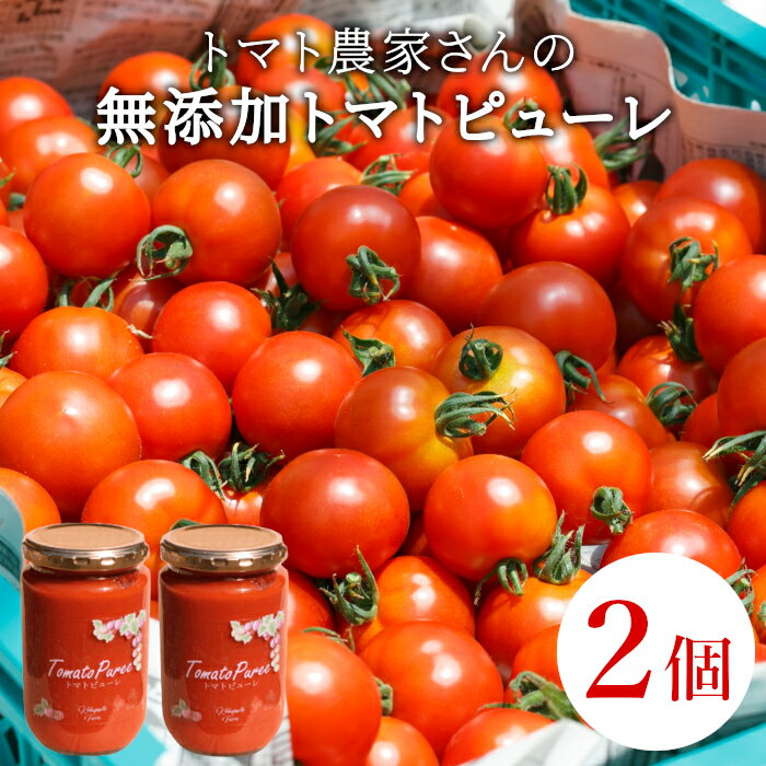 【ふるさと納税】保存料・食塩・化学調味料不使用！トマト農家さんのトマトピューレ 2個 ( 320g×2個 ) ..