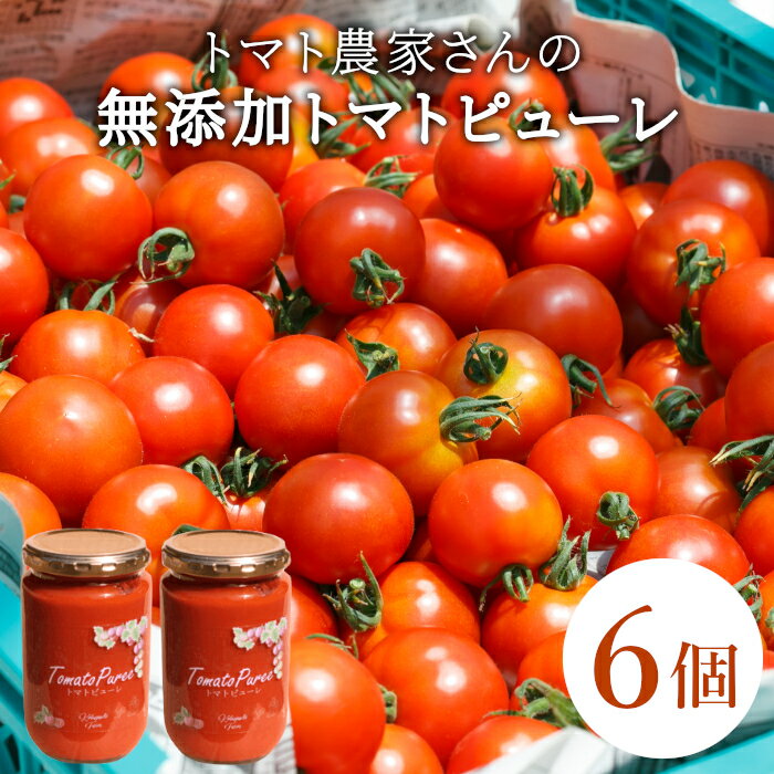 【ふるさと納税】保存料・食塩・化学調味料不使用！トマト農家さんのトマトピューレ 6個 ( 320g×6個 ) ..