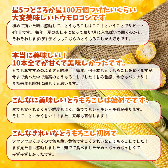 長野県根羽村の画像3