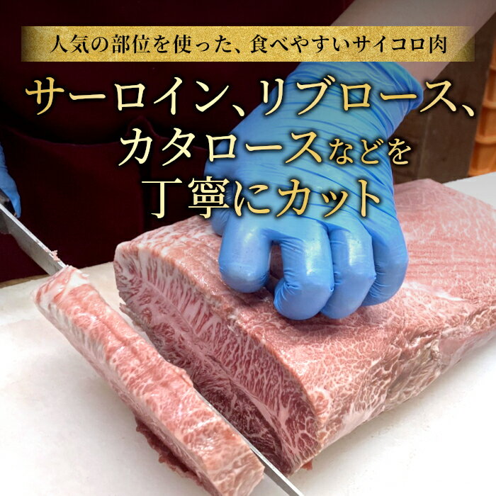長野県根羽村の画像3