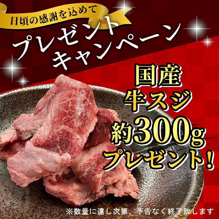 【ふるさと納税】【お届け月が選べる】国産牛スジ付き★根羽こだわり和牛 ヒレステーキ 3枚 300g ( 100g×3 ) 国産黒毛和牛 ステーキ ヒレ 赤身 牛肉 ヒレ肉 和牛 20000円