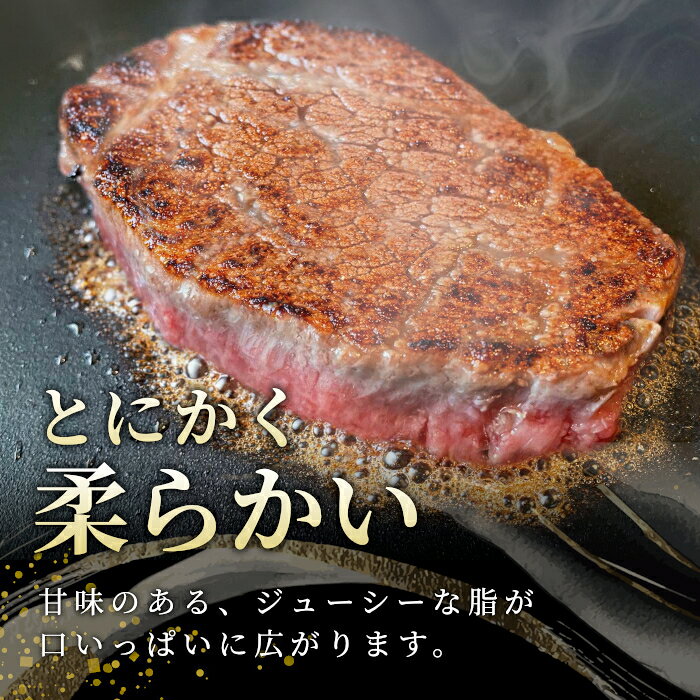 【ふるさと納税】信州高原和牛 ヒレステーキ6枚 600g ( 100g×6 ) 国産黒毛和牛 牛肉 ステーキ ヒレ ヒレ肉 和牛 40000円 40,000円 f204102-neba-10000505 長野県根羽村 サンプル画像3