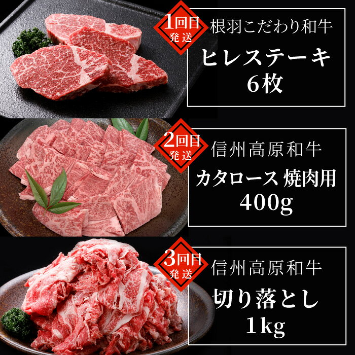 【ふるさと納税】毎月限定3セット！全10回 国産 黒毛和牛★PREMIUM★定期便 シャトーブリアン 赤身ステーキ ステーキ 切り落とし カタロース 焼肉カタロース サーロインステーキ ロースステーキ ステーキ 限定 定期便 根羽村 ブランド牛 f204102-neba-10000531 長野県根羽村 サンプル画像3