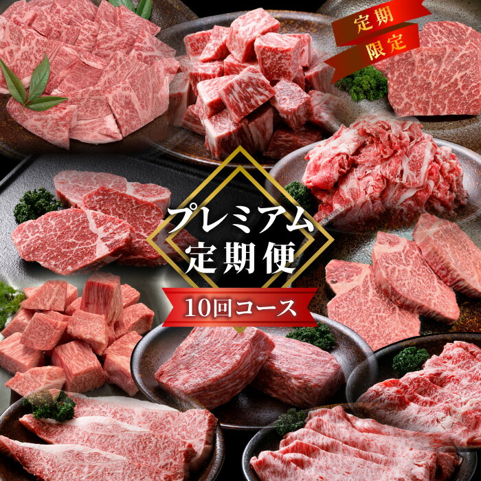 Rakuten - 【ふるさと納税】毎月限定3セット！全10回 国産 黒毛和牛★PREMIUM★定期便 シャトーブリアン 赤身ステーキ ステーキ 切り落とし カタロース 焼肉カタロース サーロインステーキ ロースステーキ ステーキ 限定 定期便 根羽村 ブランド牛