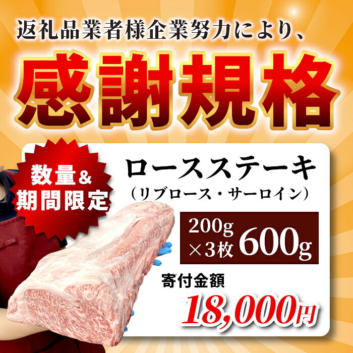 【ふるさと納税】《特別規格実施中！》今だけの金額★お届け月が選べる◎ 根羽こだわり和牛 ステーキ 赤身 霜降り ロースステーキ用 (サーロイン・リブロース) 3枚 600g (200g×3) 国産 黒毛和牛 牛肉 牛 和牛 ステーキ 和牛 サーロイン リブロース 個包装 期間限定 数量限定