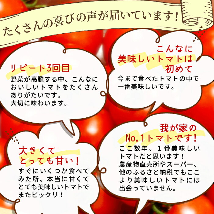【ふるさと納税】【先行予約】2027年5月～6月発送★フルーツのように甘い フルティカトマト 1.2kg 令和9年度産 割れ保障付 数量限定 トマト 定番 人気 高評価 中玉 フルーツ フルーツトマト トマト ミニトマト オンライン申請 5000円 5,000円 f204102-neba-10000558 長野県根羽村 サンプル画像2