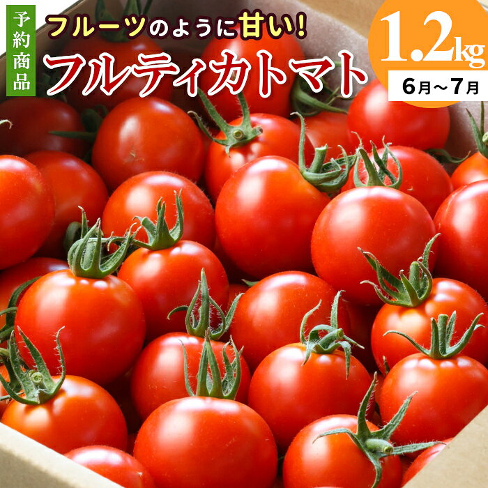 予約品※2027年6月～7月発送 フルーツのように甘い フルティカトマト 1.2kg 令和9年度産 ※予約商品※ 割れ保障付 数量限定 高評価 トマト 中玉 野菜 人気 新鮮 産地直送 甘い 高糖度 完熟 リコピン ビタミン 美容 美肌 トマト ミニトマト 5000円 5,000円