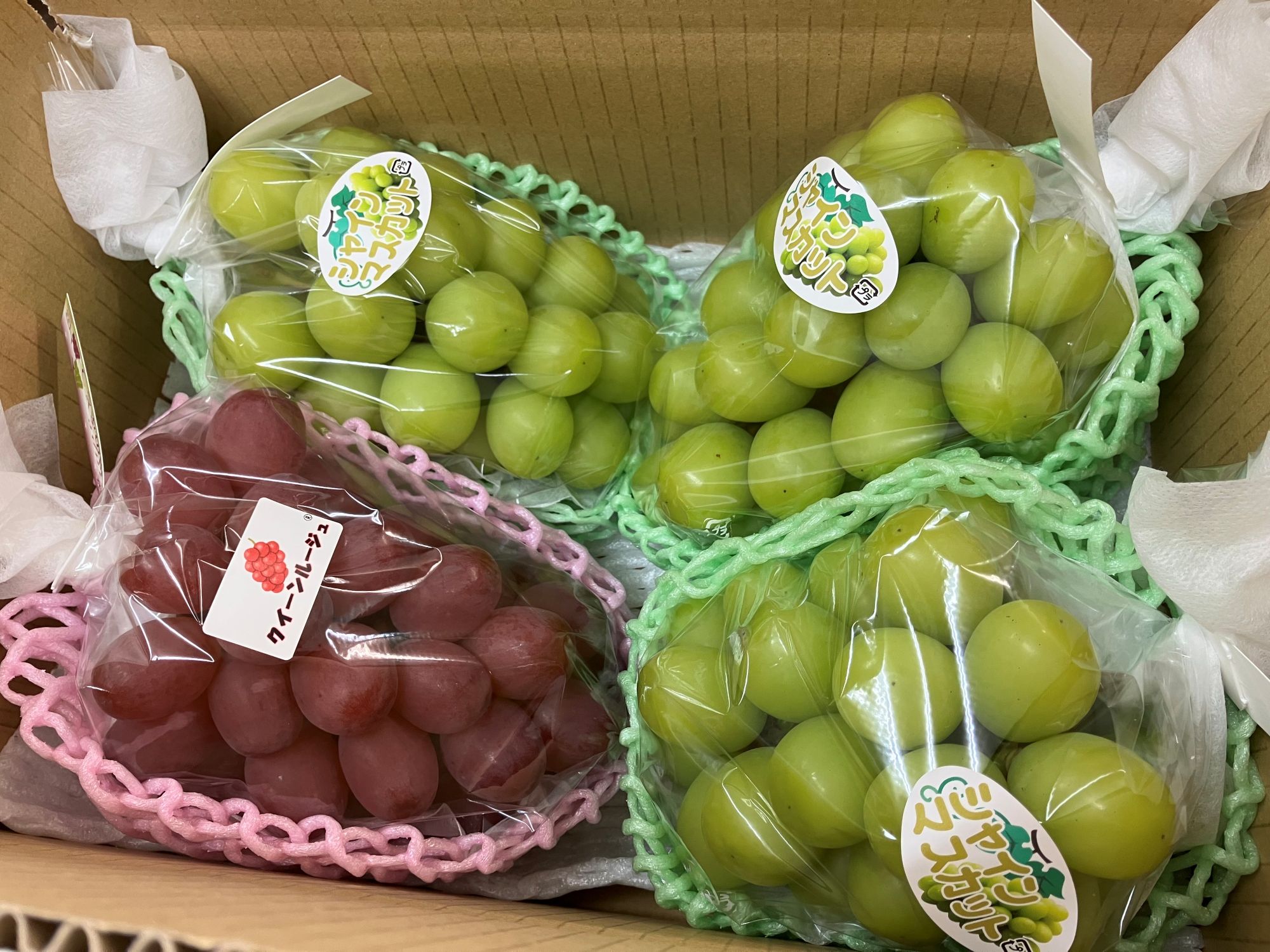【ふるさと納税】下條産『シャインマスカット＆クイーンルージュ 約2kg』